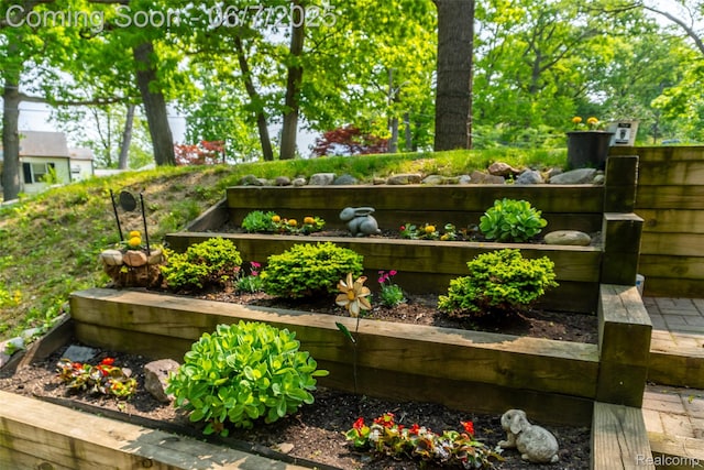 421 S Opdyke Rd, Auburn Hills, MI 48326 - exterior view of a garden