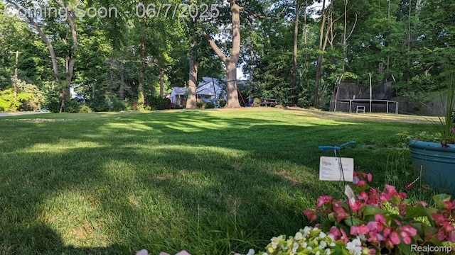 421 S Opdyke Rd, Auburn Hills, MI 48326 - view of grassy yard featuring a trampoline