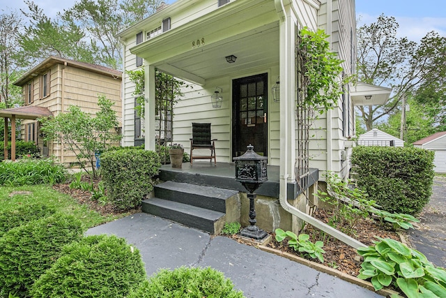 808 Princeton Ave, Ann Arbor, MI 48103 - doorway to property featuring a porch