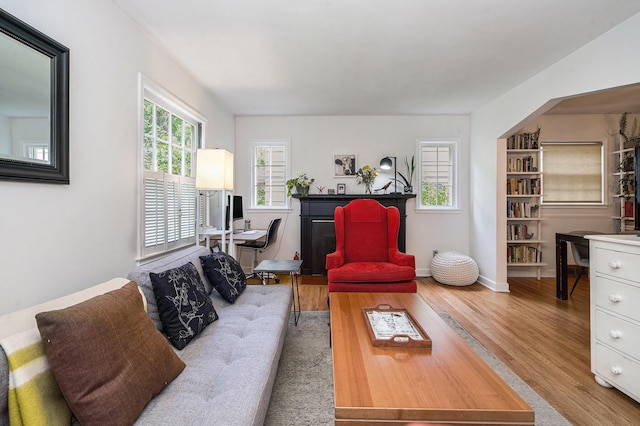 808 Princeton Ave, Ann Arbor, MI 48103 - living room featuring wood finished floors and baseboards