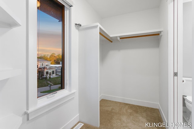 127 Emmet St, Grand Haven, MI 49417 - walk in closet featuring carpet flooring