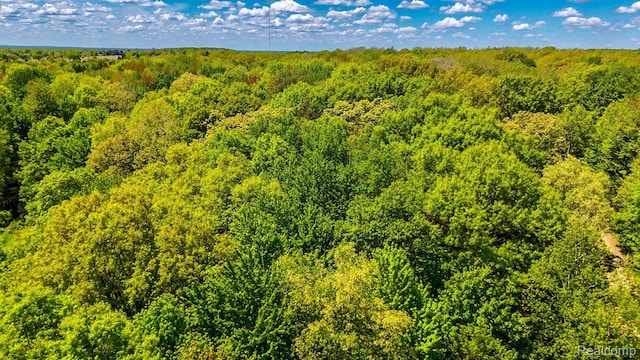 2905 N Lake Pleasant Rd, Arcadia, MI 48412