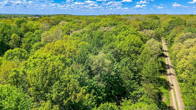 2905 N Lake Pleasant Rd, Arcadia, MI 48412