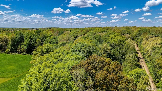 2905 N Lake Pleasant Rd, Arcadia, MI 48412