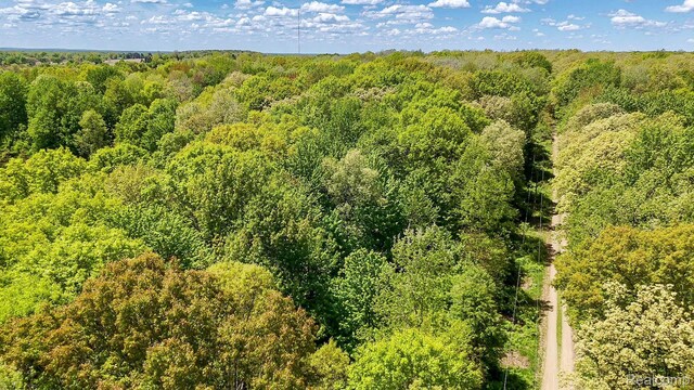 2905 N Lake Pleasant Rd, Arcadia, MI 48412