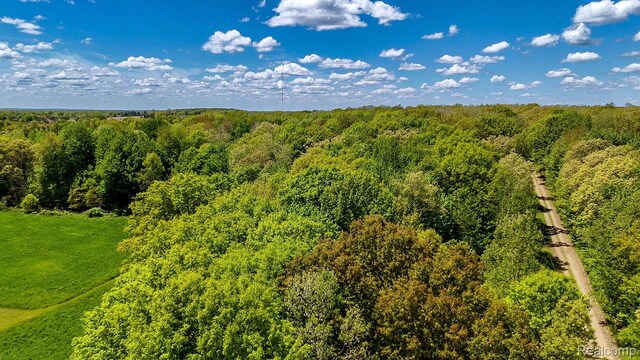 2905 N Lake Pleasant Rd, Arcadia, MI 48412