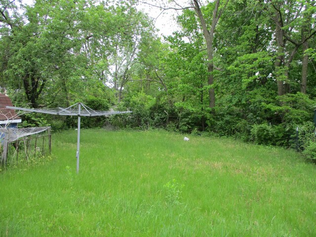 312 Leland St, Flushing, MI 48433 - view of yard