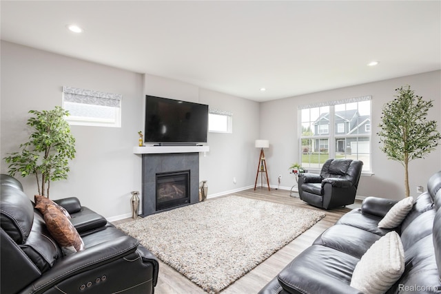132 Copper Ridge Ct, Walled Lake, MI 48390 - living room featuring wood finished floors, a fireplace, baseboards, and recessed lighting