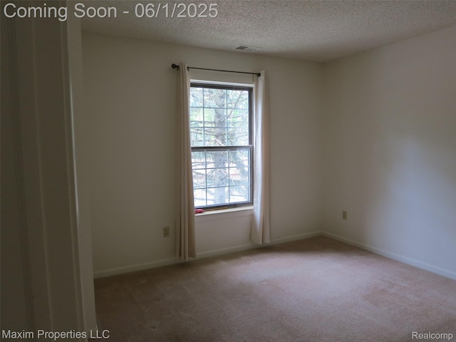 35707 Hunter Ave Unit 8, Westland, MI 48185 - carpeted spare room with plenty of natural light, a textured ceiling, and baseboards