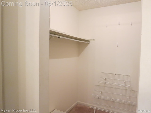 35707 Hunter Ave Unit 8, Westland, MI 48185 - view of walk in closet