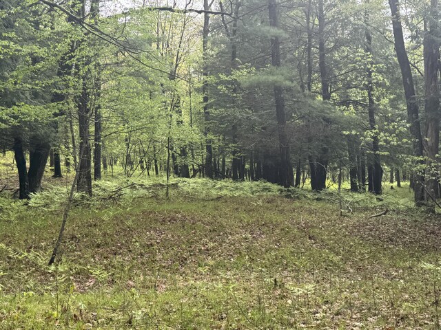 7215 E Niemitalo Dr, Chase, MI 49623 - view of tree filled area