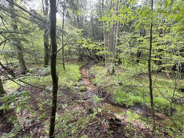 7215 E Niemitalo Dr, Chase, MI 49623 - view of wooded area