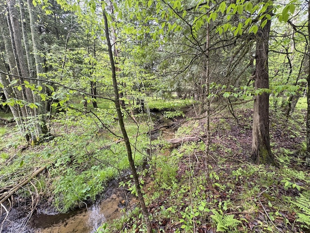 7215 E Niemitalo Dr, Chase, MI 49623 - view of woods