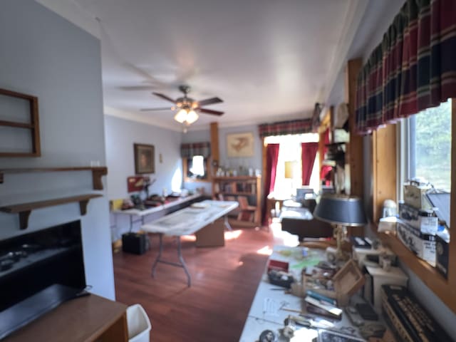 7215 E Niemitalo Dr, Chase, MI 49623 - living room with wood finished floors, ceiling fan, and crown molding