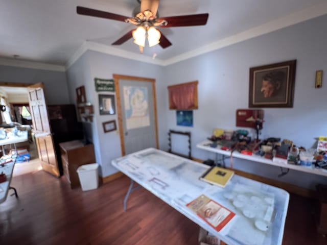 7215 E Niemitalo Dr, Chase, MI 49623 - office area featuring ceiling fan, wood finished floors, crown molding, and baseboards