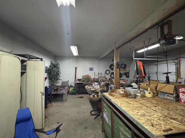 7215 E Niemitalo Dr, Chase, MI 49623 - garage featuring a garage door opener and a workshop area