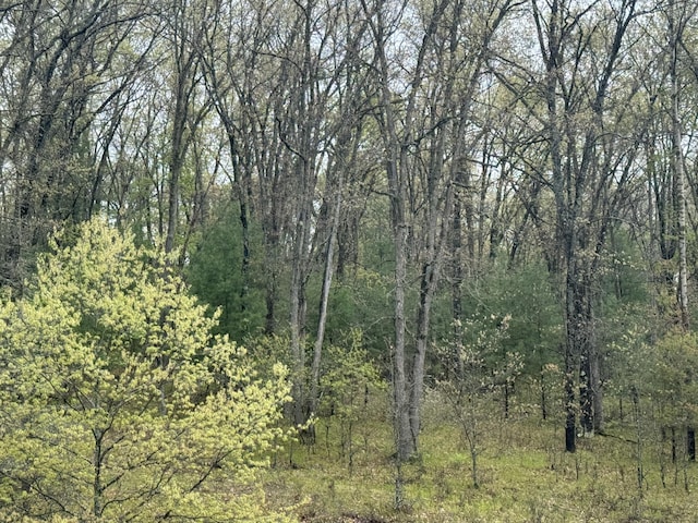 7215 E Niemitalo Dr, Chase, MI 49623 - view of tree filled area