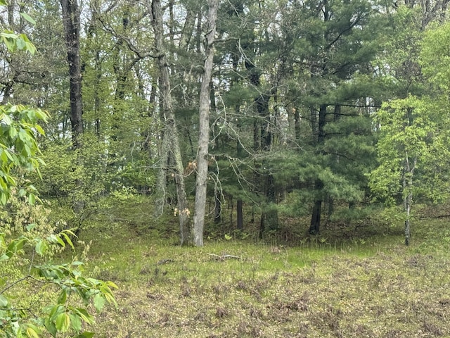 7215 E Niemitalo Dr, Chase, MI 49623 - view of woods