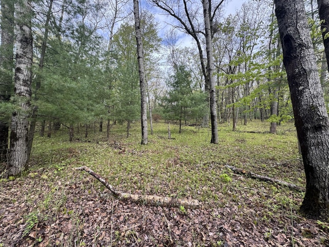 7215 E Niemitalo Dr, Chase, MI 49623 - view of wooded area