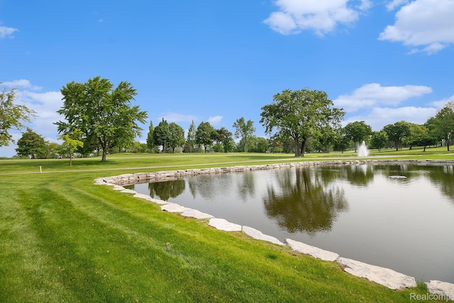9095 S Saginaw Rd Unit 10, Grand Blanc, MI 48439 - water view
