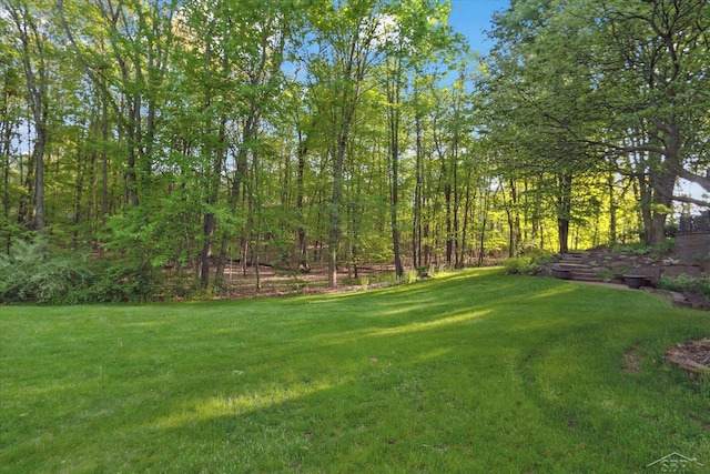 3283 Foxfire Dr, Milford, MI 48380 - view of green lawn