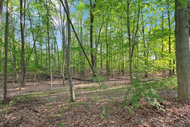 3283 Foxfire Dr, Milford, MI 48380 - view of tree filled area