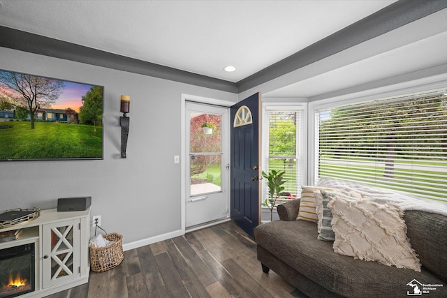 4851 Consear Rd, Ottawa Lake, MI 49267 - entryway featuring baseboards, dark wood-style flooring, and recessed lighting