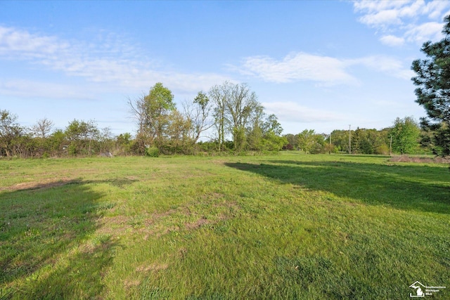 4851 Consear Rd, Ottawa Lake, MI 49267 - view of grassy yard