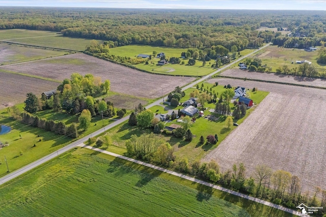 4851 Consear Rd, Ottawa Lake, MI 49267 - aerial view of property's location featuring rural landscape
