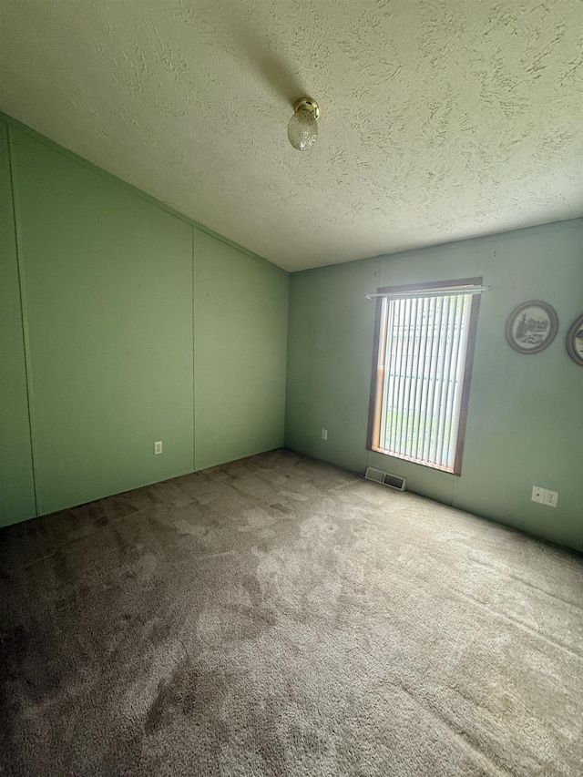 59 Clydesdale Dr, Mount Morris, MI 48458 - spare room with carpet floors and a textured ceiling