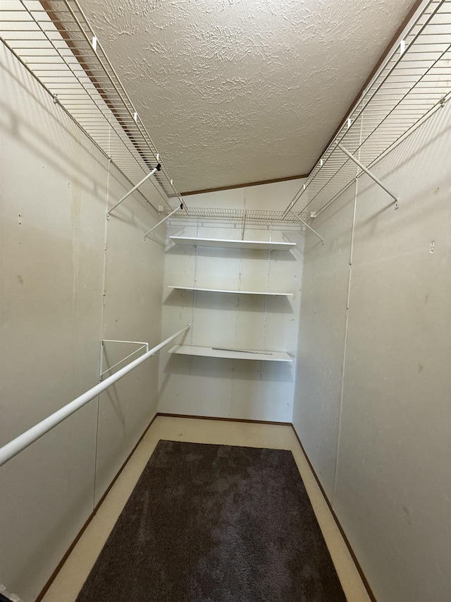 59 Clydesdale Dr, Mount Morris, MI 48458 - walk in closet featuring carpet flooring