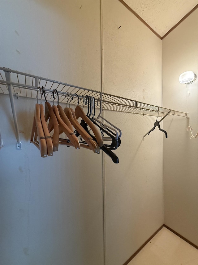 59 Clydesdale Dr, Mount Morris, MI 48458 - view of spacious closet