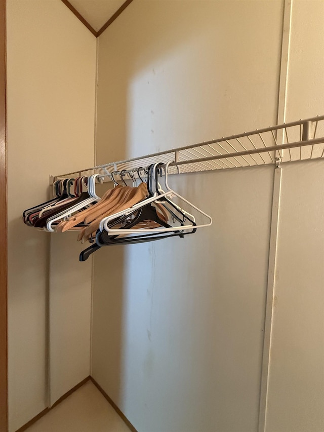 59 Clydesdale Dr, Mount Morris, MI 48458 - view of walk in closet