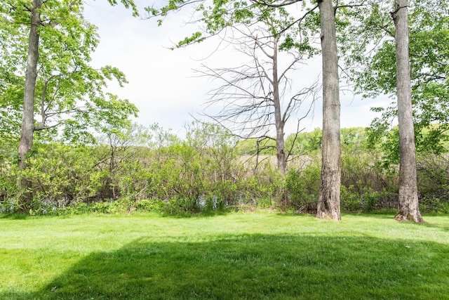 4164 W Centre Ave Unit 103, Portage, MI 49024 - view of green lawn