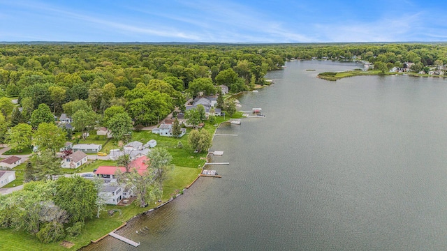 8928 Ellis St SE, Alto, MI 49302 - aerial view of property's location with a forest and a nearby body of water