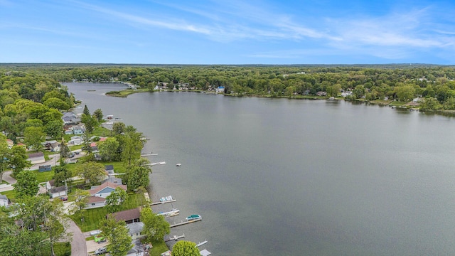 8928 Ellis St SE, Alto, MI 49302 - view of property location featuring a heavily wooded area and a nearby body of water