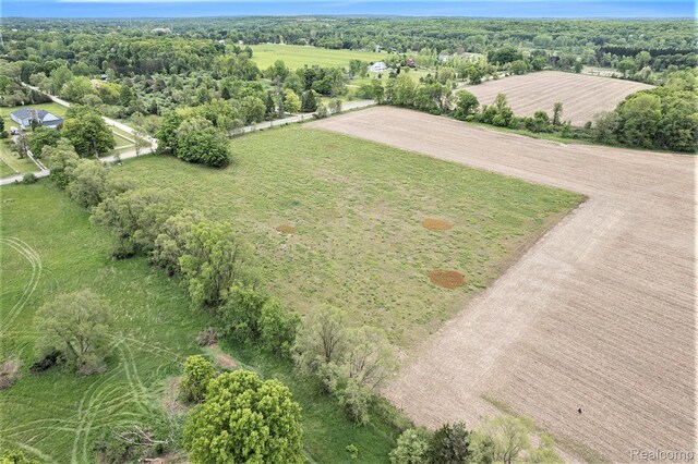 LOT14 Pingree Rd, Putnam, MI 48169 - photo 3