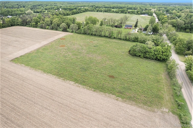 LOT14 Pingree Rd, Putnam, MI 48169 - photo 4