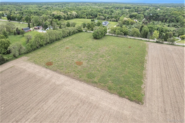LOT14 Pingree Rd, Putnam, MI 48169 - photo 5