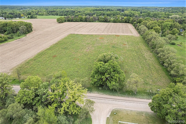 LOT14 Pingree Rd, Putnam, MI 48169 - photo 1
