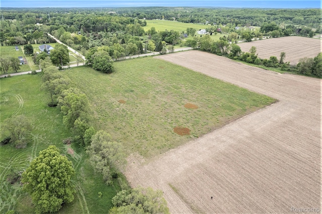 LOT14 Pingree Rd, Putnam, MI 48169 - photo 2
