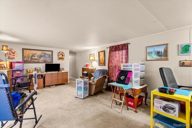 3723 Pinoak St, Clarkston, MI 48348 - living area with carpet floors