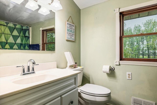 2875 Linco Rd, Berrien Springs, MI 49103 - bathroom with healthy amount of natural light, toilet, vanity, and curtained shower