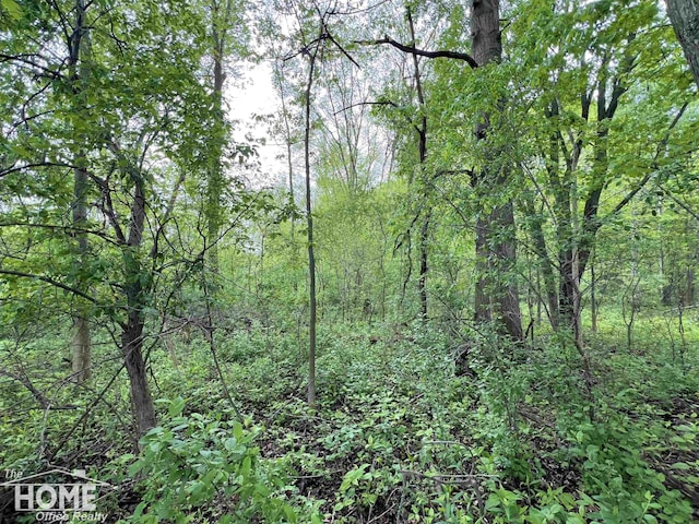 0 Sheridan Rd, Bridgeport, MI 48415