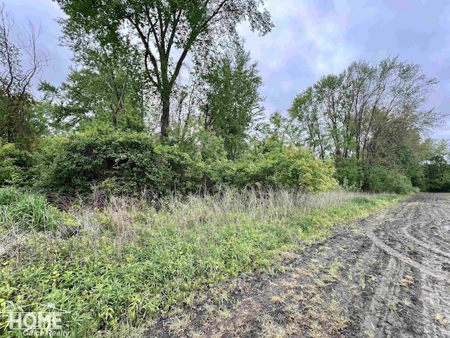 0 Sheridan Rd, Bridgeport, MI 48415