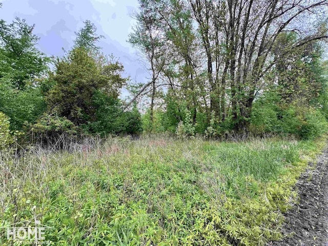 0 Sheridan Rd, Bridgeport, MI 48415