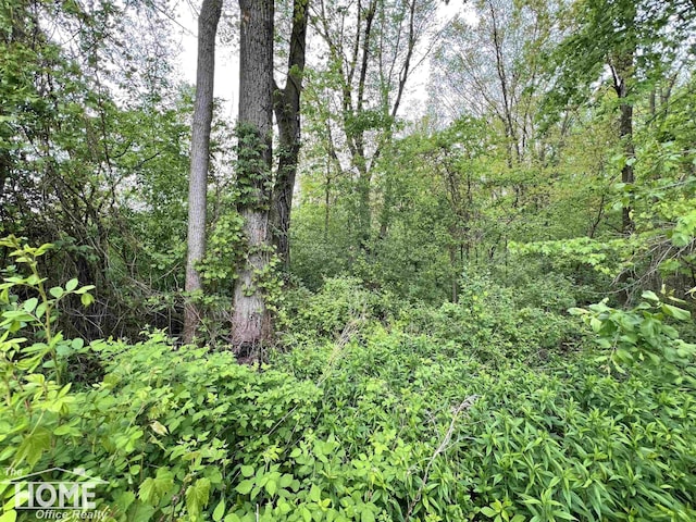 0 Sheridan Rd, Bridgeport, MI 48415
