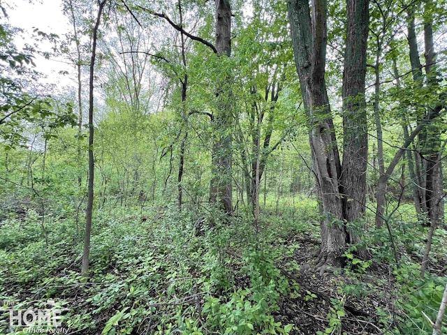 0 Sheridan Rd, Bridgeport, MI 48415