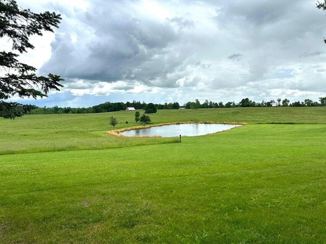 1720 Dimmers Rd, Reading, MI 49274 - view of home's community featuring a water view and a yard