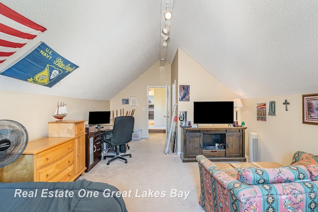 2203 Bullock Rd, Lapeer, MI 48446 - office area with light colored carpet, lofted ceiling, a textured ceiling, and rail lighting